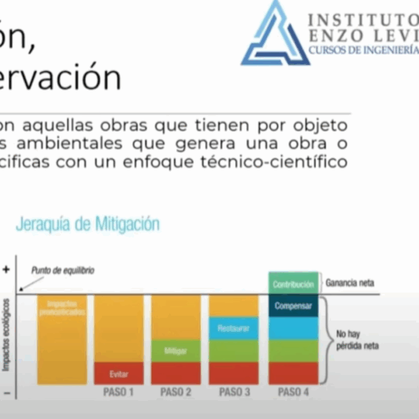 Diplomado en Impacto Ambiental: Informes Preventivos y Manifiestos - Imagen 3